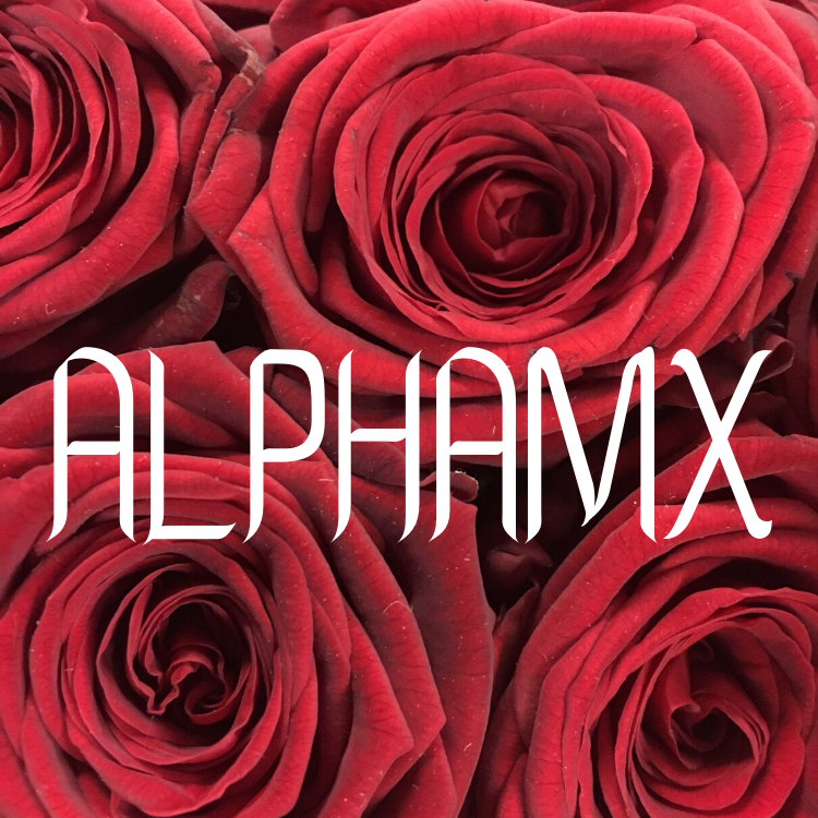 Cayo perico guard clothing map