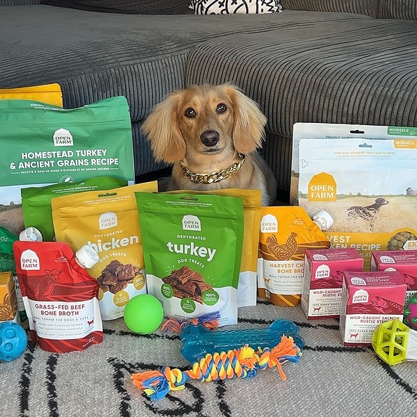 winstontheween Instagram, TikTok Linktree