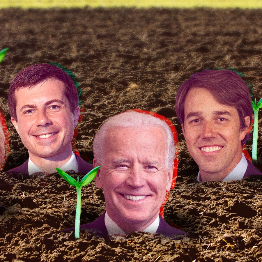 Can we stop stupid politics from ruining carbon farming?