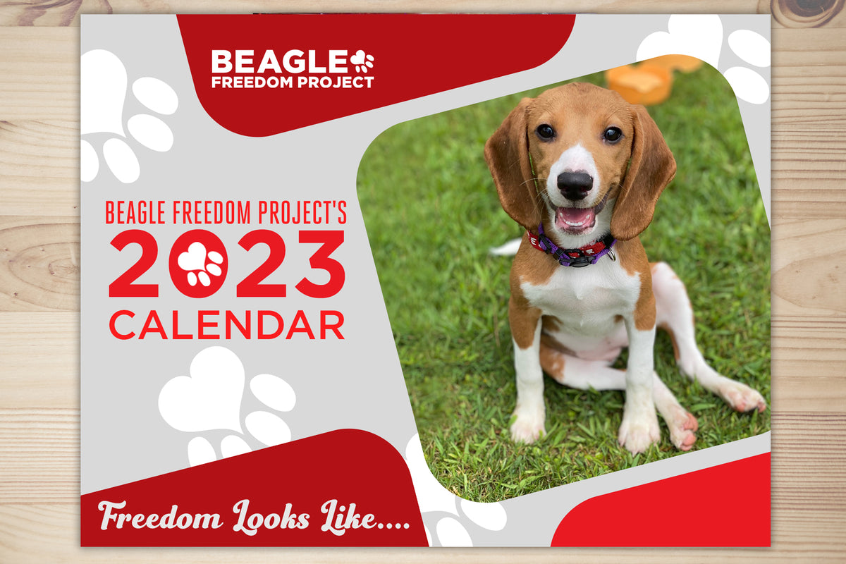 Beagle Freedom Project Twitter, Instagram, Facebook Linktree
