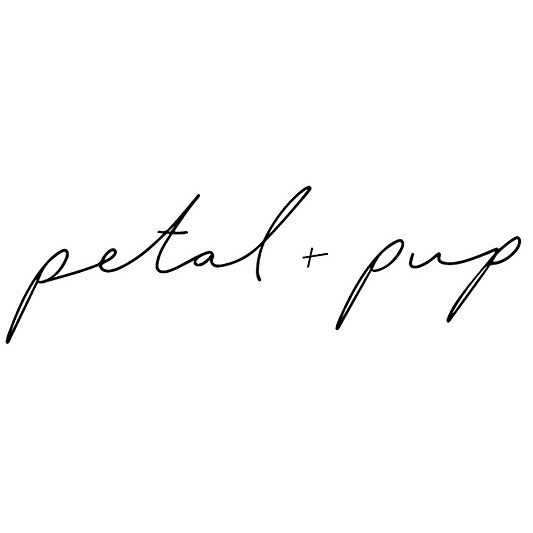 discount-codes-freebies-linktree