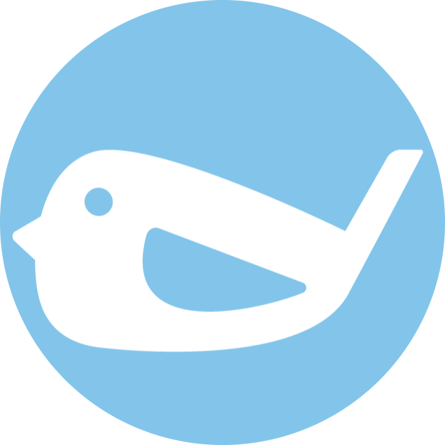 Birdie Wealth Linktree