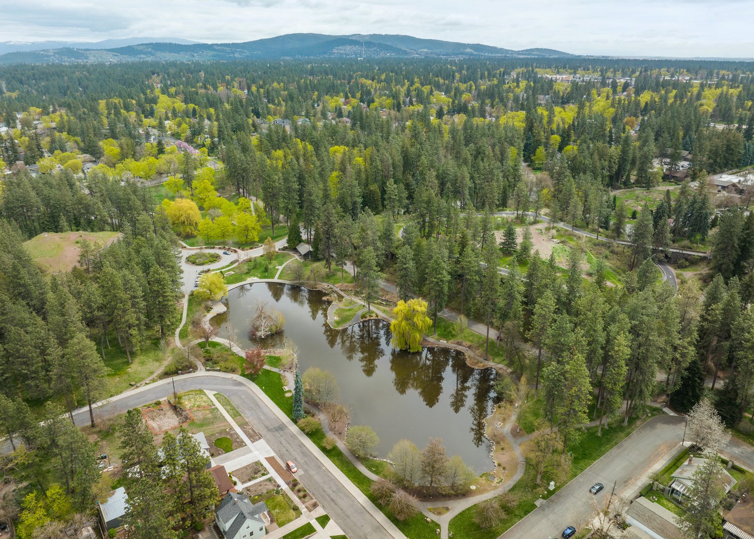 move-spokane-instagram-facebook-linktree
