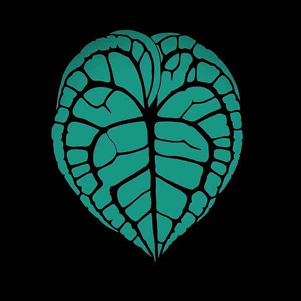 Shari Leafy Green Shack Facebook, TikTok Linktree