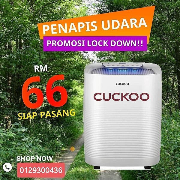 Natural Executive Cuckoo Linktree