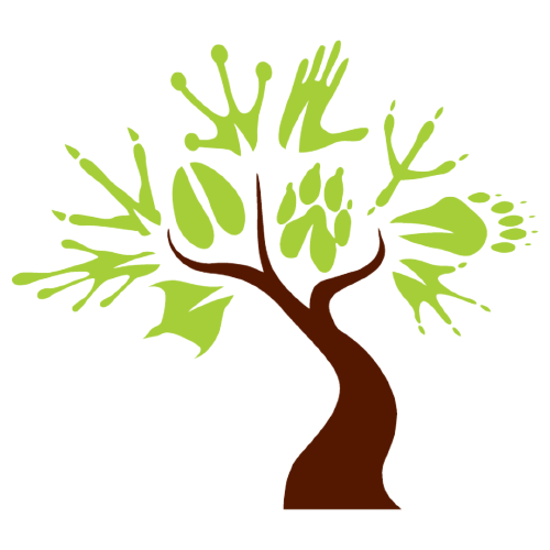 Wildlife Tree Instagram, Facebook, TikTok Linktree