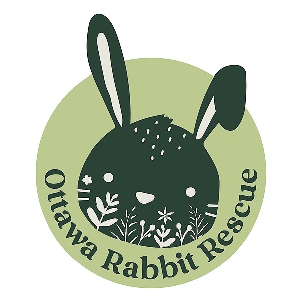 Ottawa Rabbit Rescue Instagram, Facebook, TikTok Linktree