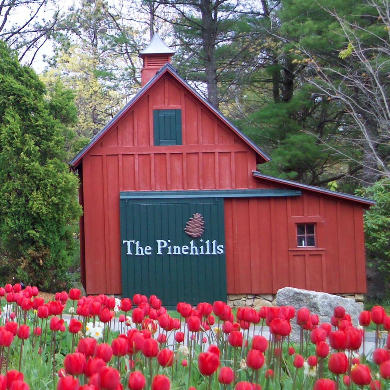 the_pinehills Linktree