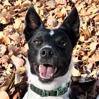 Lilpushpop - Find Lilpushpop Onlyfans - Linktree