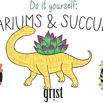 The 12 Days of DIY Gifts