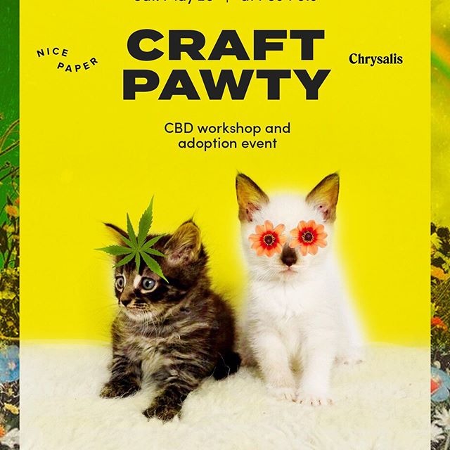 @itsnicepaper | Linktree