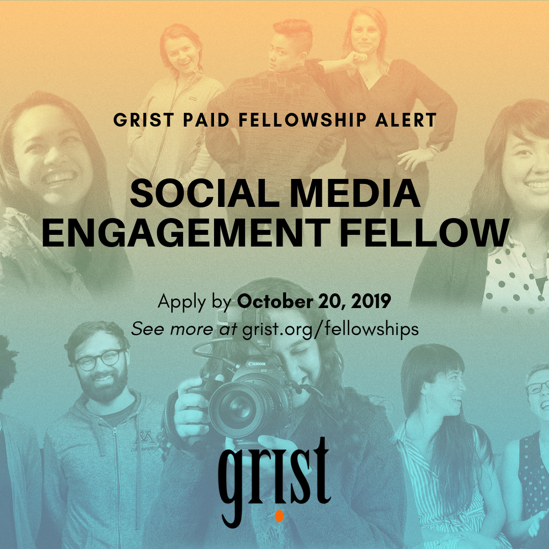 Social Media Engagement Fellowship