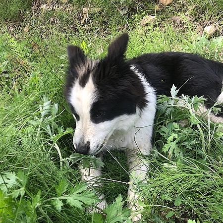 garden.young | YouTube | Linktree