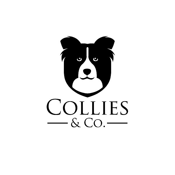 Collies and Co. Cafe Instagram, Facebook, TikTok Linktree