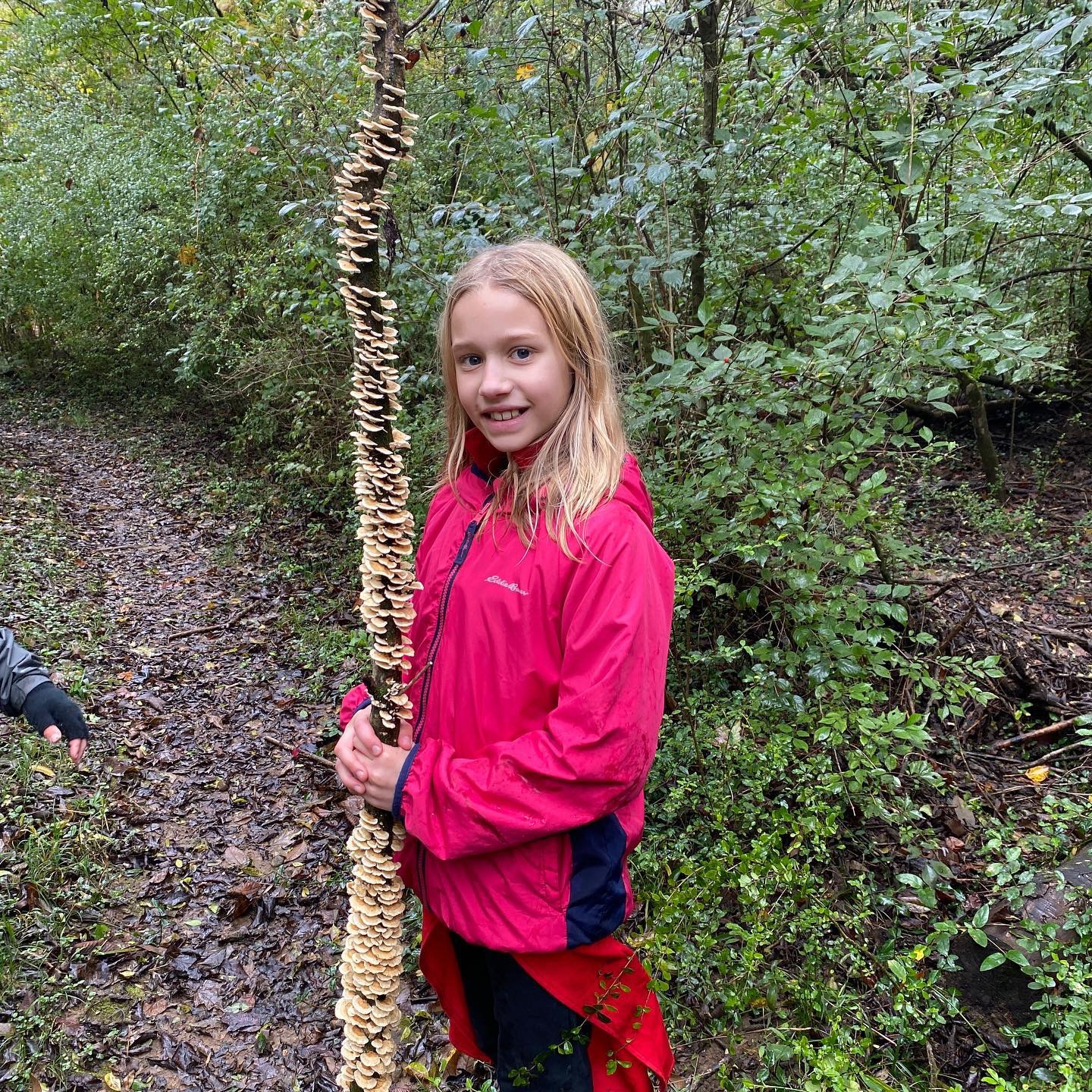 NatureExplorers Linktree