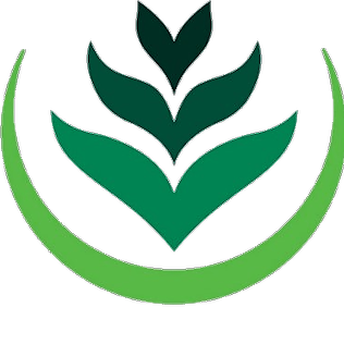 @green2gold | Linktree