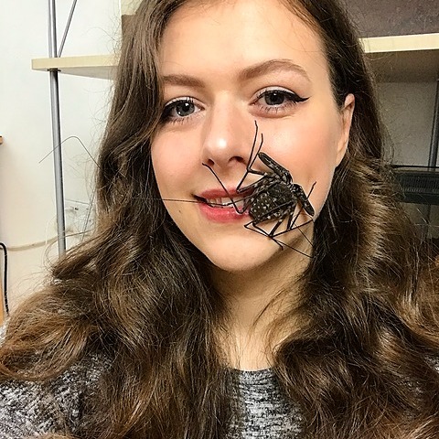 Jades Jungle | Twitter, Instagram, TikTok | Linktree