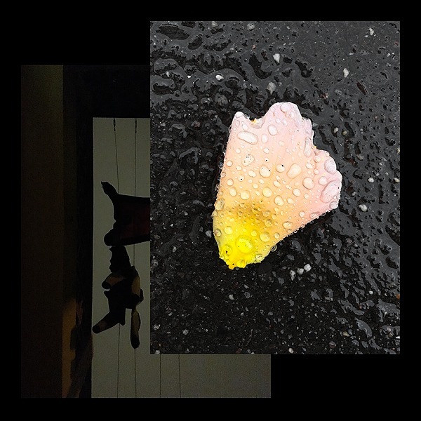 Crime Novel Drum Instagram Linktree