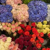 LEFTER | Instagram, TikTok, Twitch | Linktree