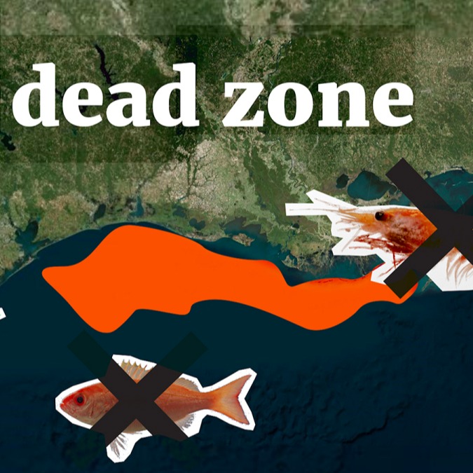 Fertilizer feeds humanity — and it’s destroying the Gulf of Mexico