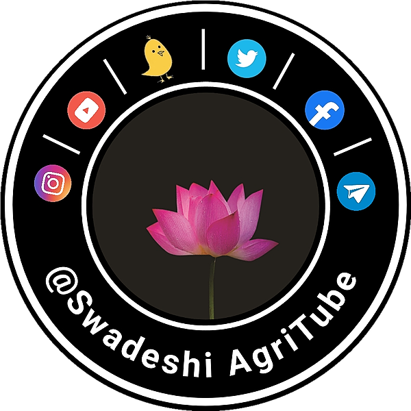 Youtube Channel Image