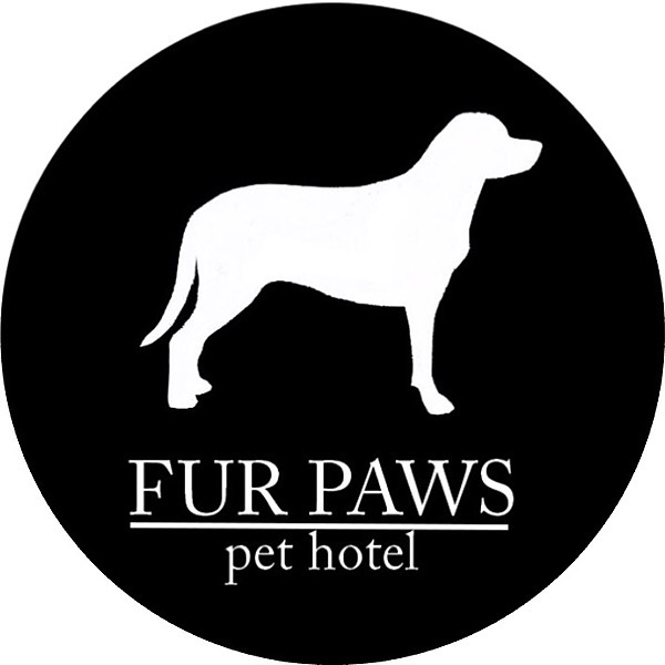 Fur Paws LLC Linktree