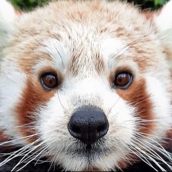 leilababyxo - Find @leilababyxo Onlyfans - Linktree