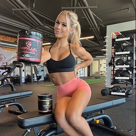 Noelle Leyva TikTok Linktree