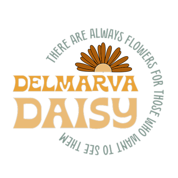Delmarva Daisy Instagram, Facebook Linktree