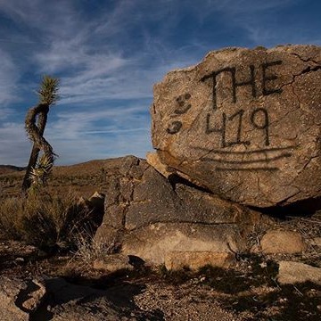 Off-roading, chopped Joshua trees, overflowing toilets: Our national parks during a shutdown
