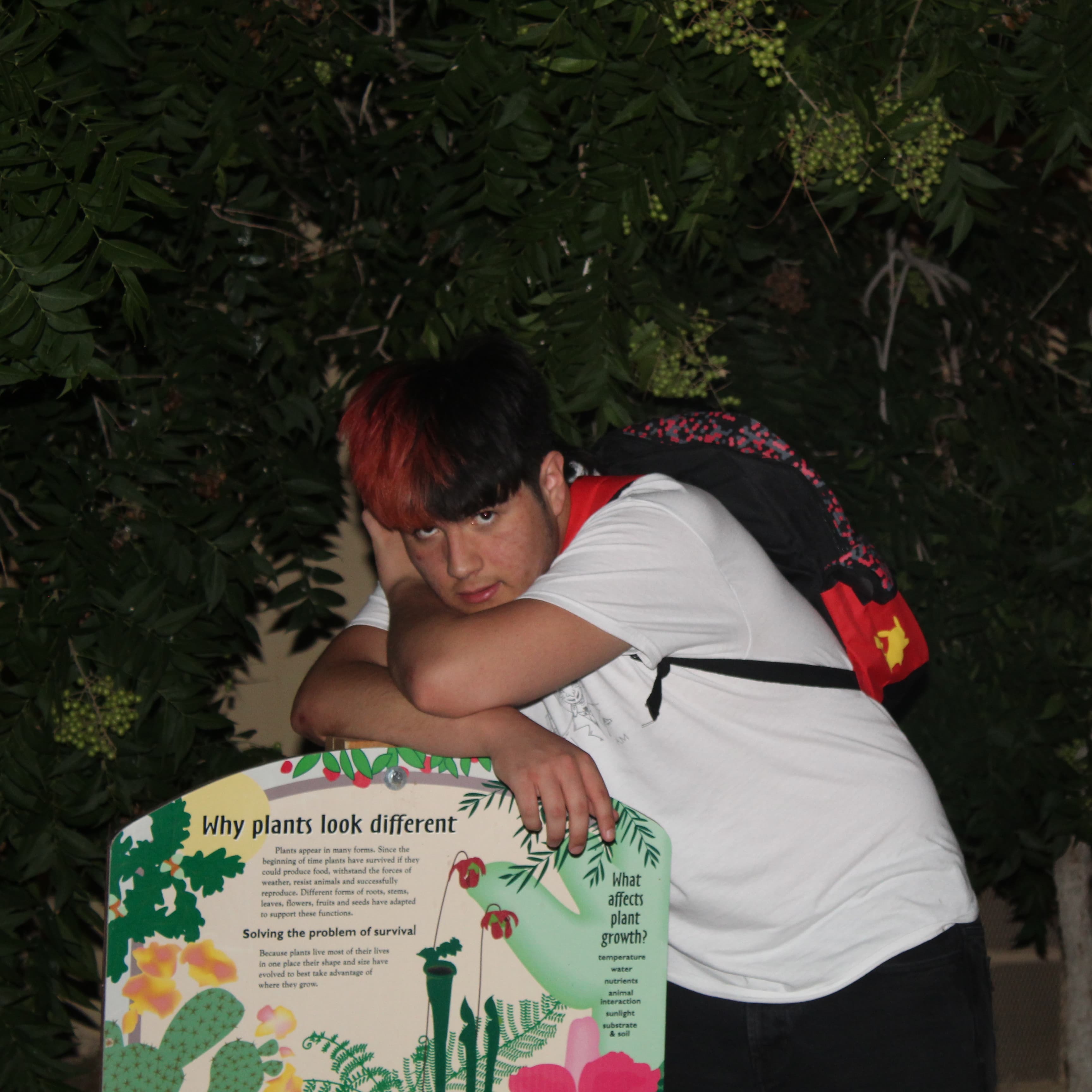 MlKEY Listen on YouTube, Spotify, Apple Music Linktree