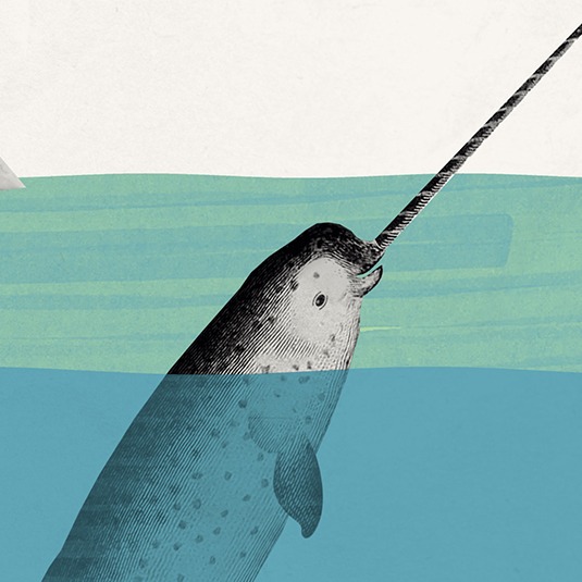 How quickly do we need to ramp up renewables? Look to the narwhal.