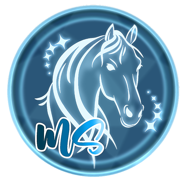 Midnight Star Riding Academy TikTok Linktree