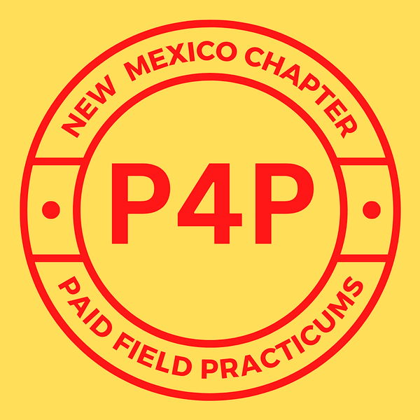 p4p_nm Twitter, Instagram Linktree