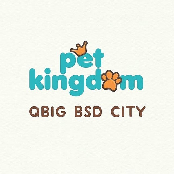 Pet_Kingdom_QBig Instagram, TikTok Linktree