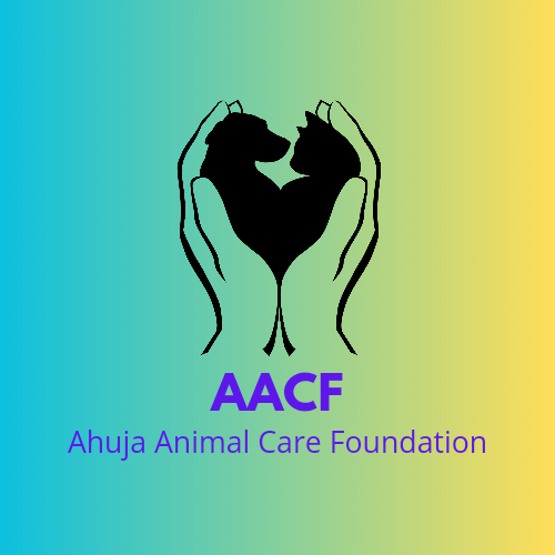 Ahuja Animal Care Foundation Instagram, Facebook Linktree