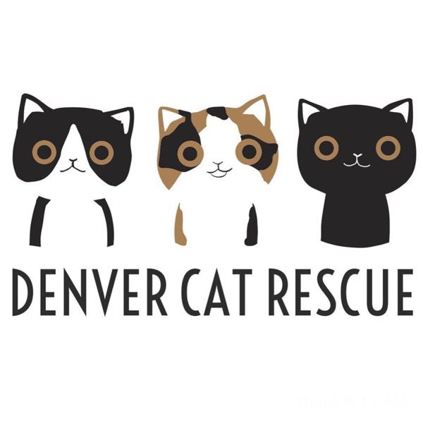 Denver Cat Rescue Instagram, TikTok Linktree