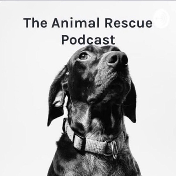 The Animal Rescue Podcast - Listen on YouTube, Spotify - Linktree