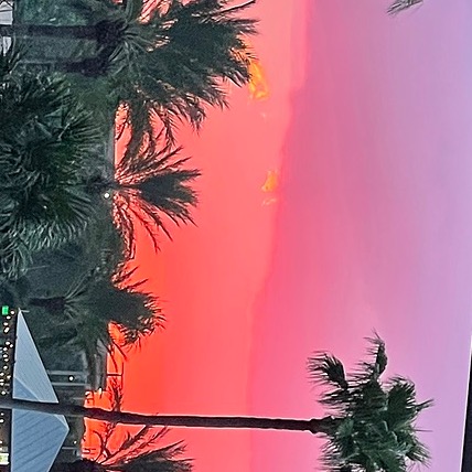 SheaSweetness - Find @SheaSweetness Onlyfans - Linktree