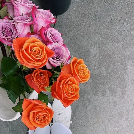 Sara.miaaa | TikTok | Linktree