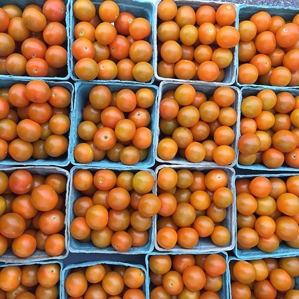 Black Kettle Farm Linktree