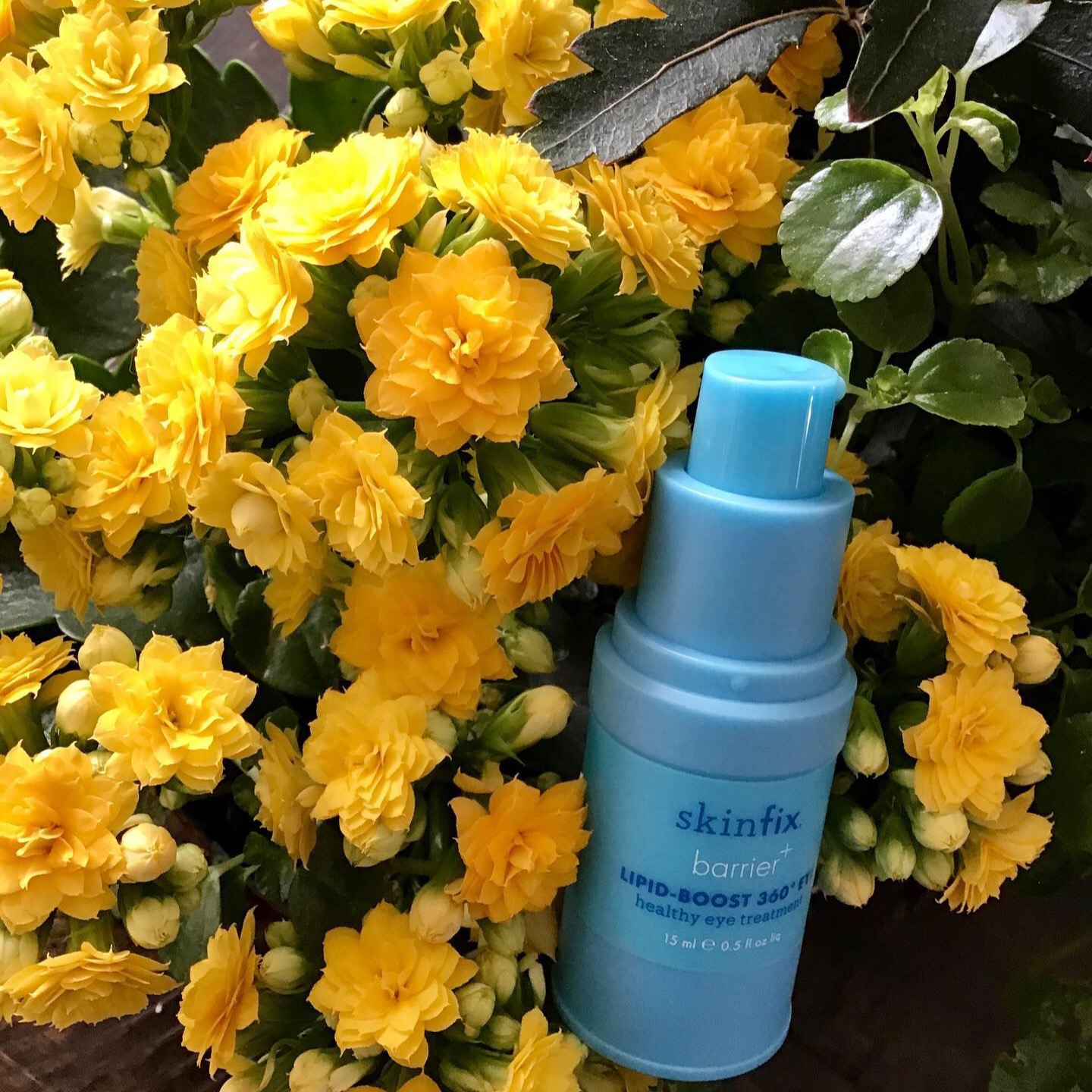 Remedyforbeauty Linktree