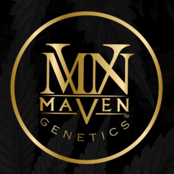 Maven Twitter, Twitch Linktree