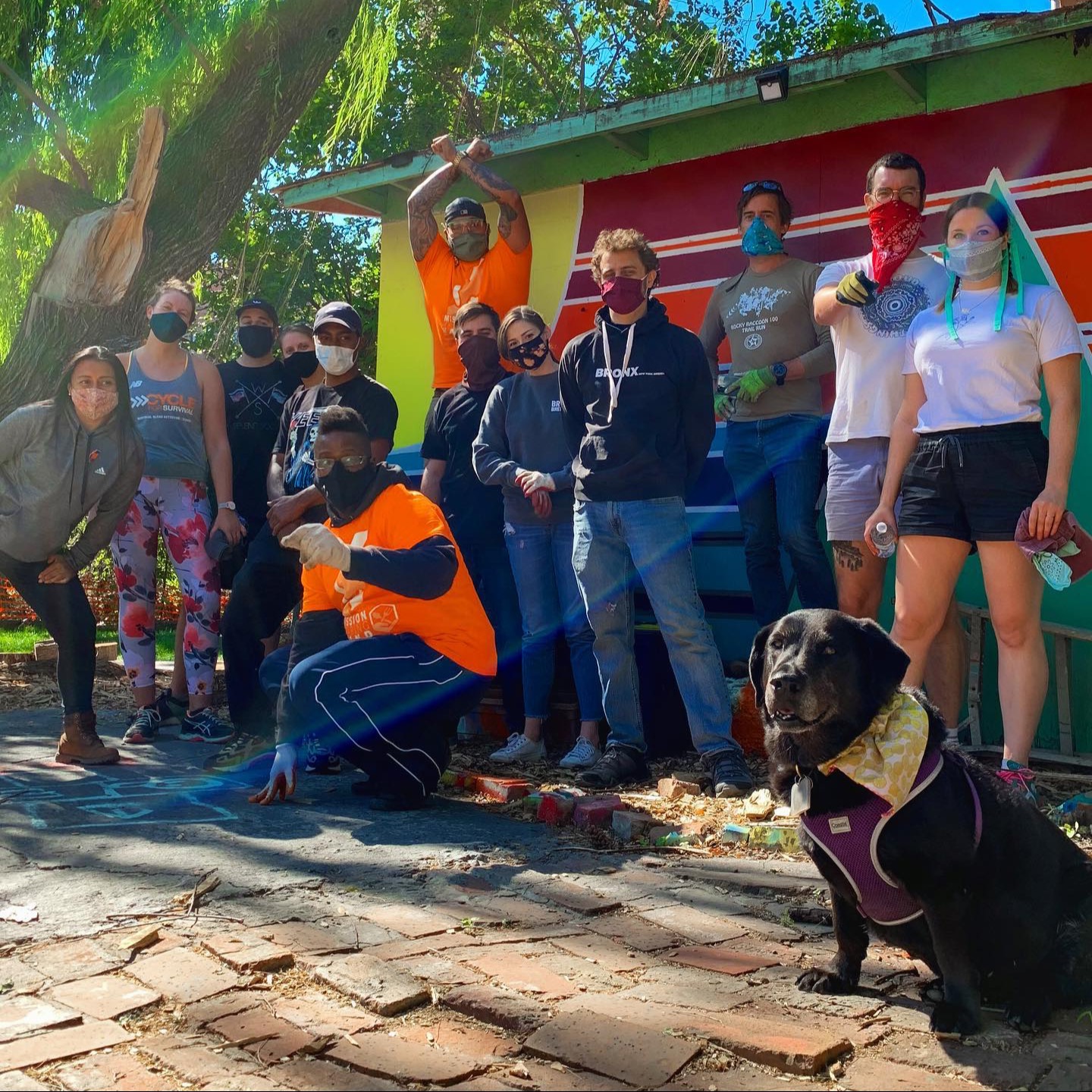 Sign 6Line’s Urban Gardens Petition