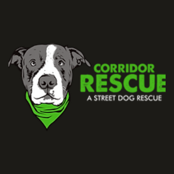Corridor Rescue TikTok Linktree Corridor Rescue TikTok Linktree