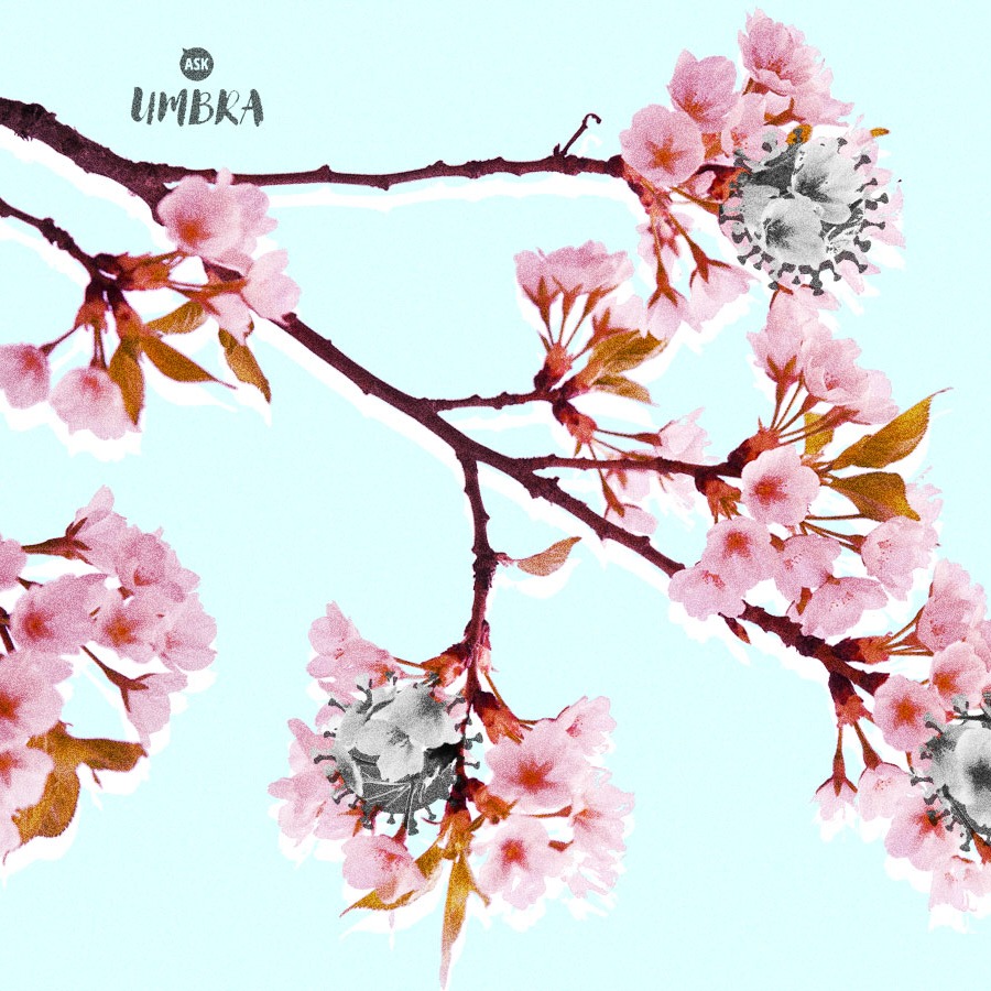 I’m an advice columnist, and I don’t know how I can help right now