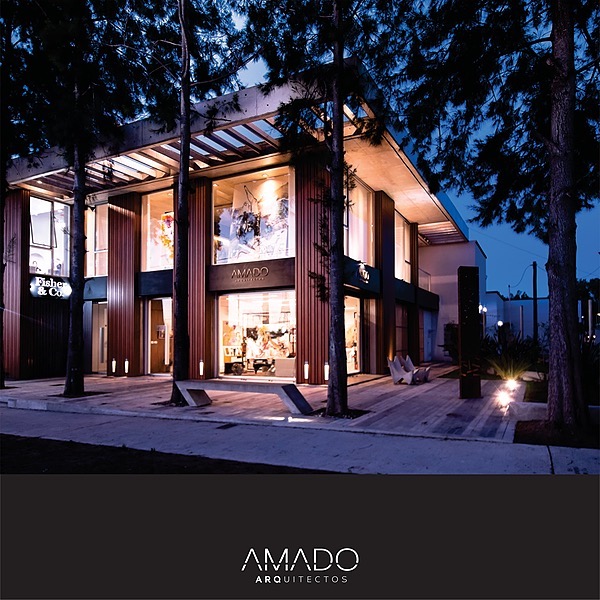 @AnaPaulaAmado Profile Image | Linktree