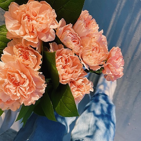 Sara.miaaa | TikTok | Linktree