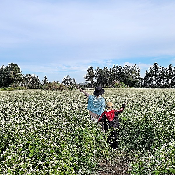 인아클로젯 | Facebook | Linktree