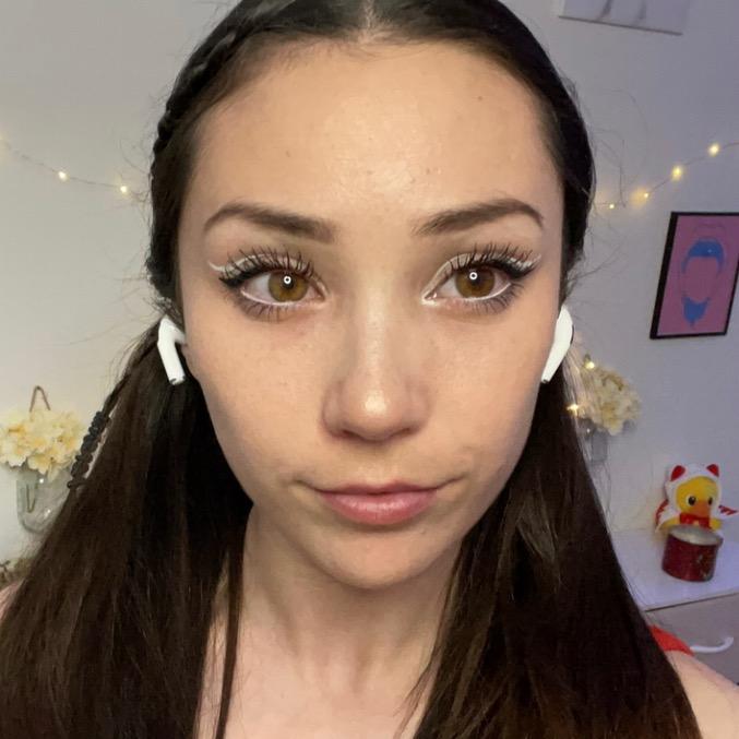 lexipoll | Twitter, TikTok | Linktree